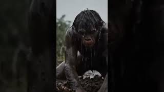 The Endless Journey of Early Humanity – Survival Before Civilization #wildlife #animals #africa #