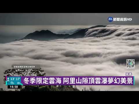 白霜覆蓋阿里山 遊客目睹雪世界喊幸運