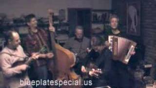 Bluebird Of Happiness