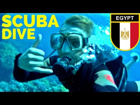 SCUBA DIVING the RED SEA // Egypt Travel مصر