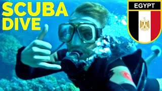 SCUBA DIVING the RED SEA // Egypt Travel مصر