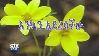 Interview with Addis Ababa residents about Ethiopian New Year and Holiday Shopping