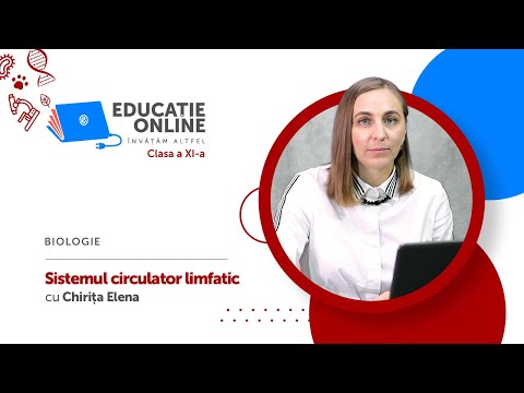 Biologie, Clasa a XI-a, Sistemul circulator limfatic