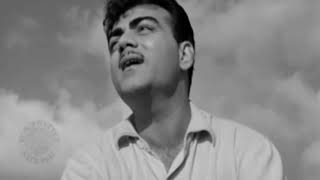 Download lagu 2022-Pyase Panchhi Neel Gagan Mein | प्यासे पंछी -Mehmood, Ameeta, Jeevan, Agha-Classic Hindi Movies mp3