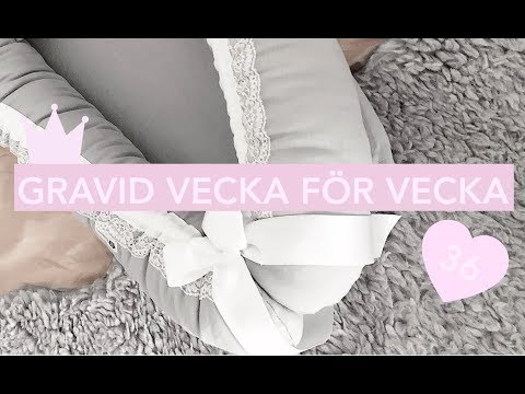GRAVID VECKA FÖR VECKA: V.36