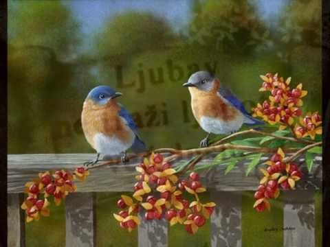 ТИХО НОЋИ МОЈЕ ЗЛАТО СПАВА - ОД СРЕМЦА