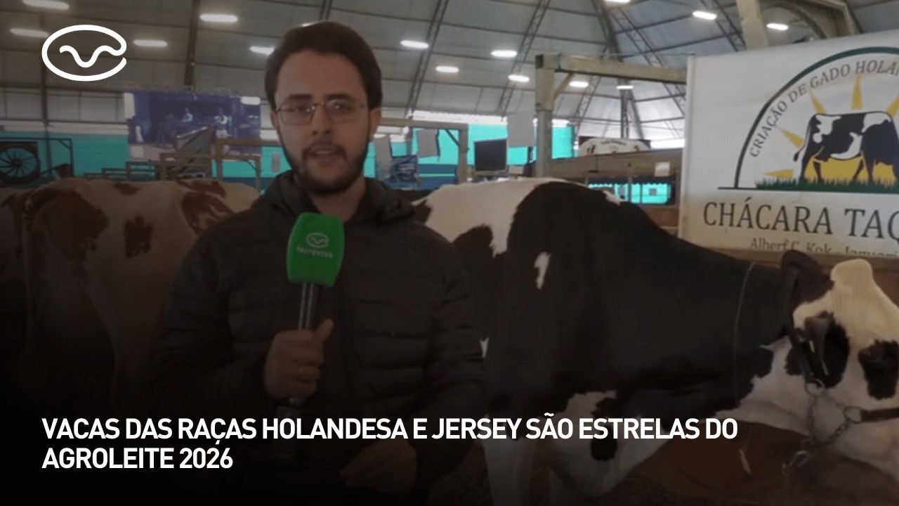 Vacas das raças Holandesa e Jersey são estrelas do Agroleite 2026