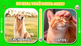 Quem ganha? Doguinhos ou Gatinhos?