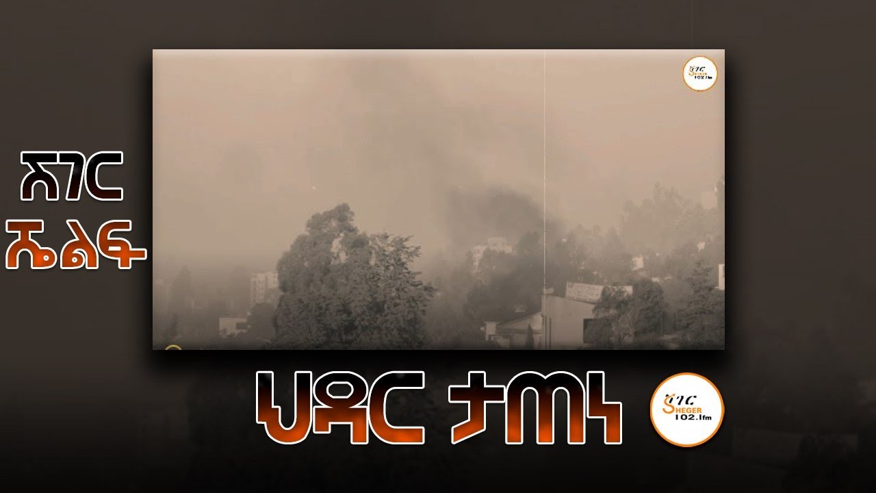 ህዳር ታጠነ -  ቅብጥብጧ፣ ስለፍቅር እና ሌሎችም!ተራኪ አበበ ባልቻ  #Sheger_Shelf