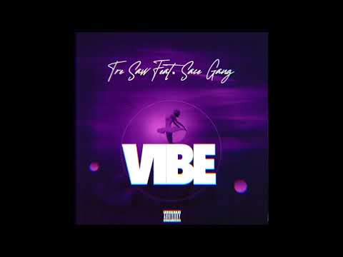 TreSavv feat. Sace Gang- VIBE (Official Audio)