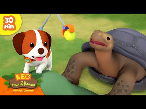 Witness21 Editor  2024 04 11