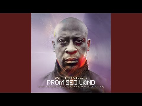 Promised Land feat Aquariid (DJ Marky & Makoto Remix)