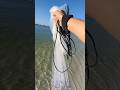 Caught This On My LAST Cast Fishingvideo Saltwaterfix Fishing