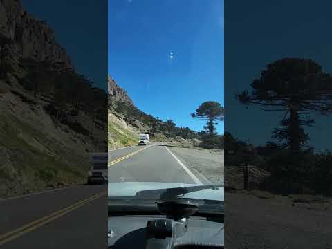 Pino hachado RN242 28-03-2024