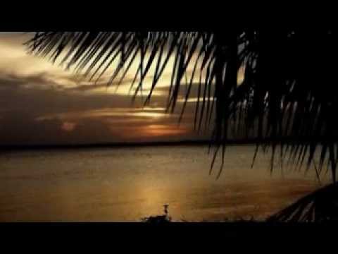 Gandaia Das Ondas video