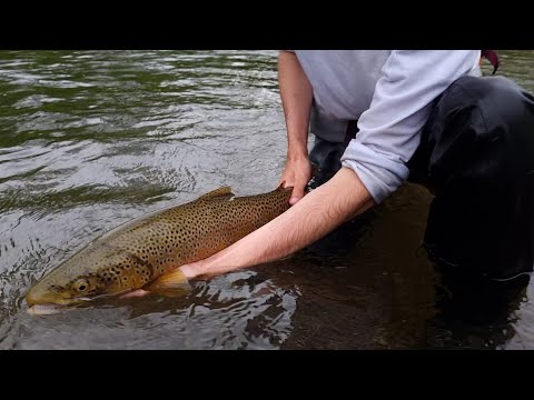 LAPLAND 2021 - A HOLY JOURNEY - Part 3