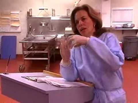 Dr. G: Medical Examiner: Car Accident Victims