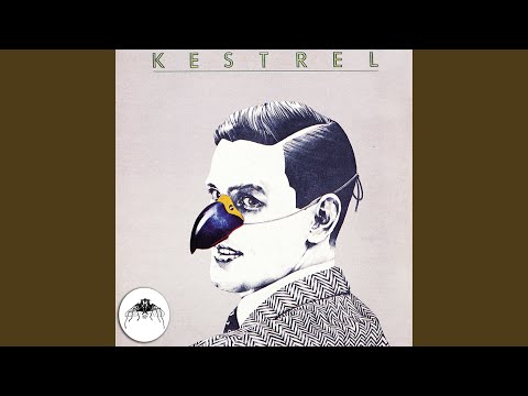 The Acrobat (2013 Remaster)