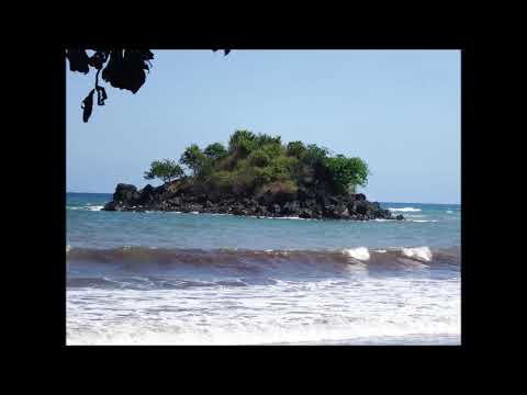 viking  Wirdane guitard bass Mizara latsaka