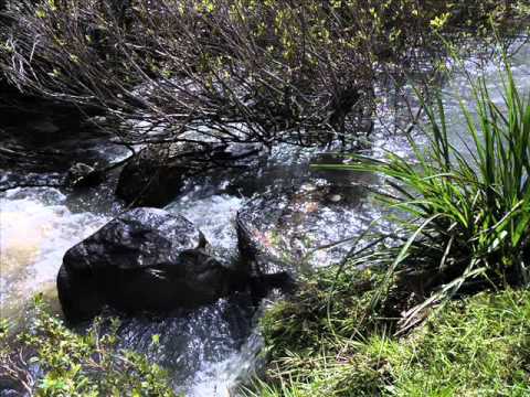 PROYECTO EL ABRA   ABRA DE ZABALETA  Dpto  de Lavalleja