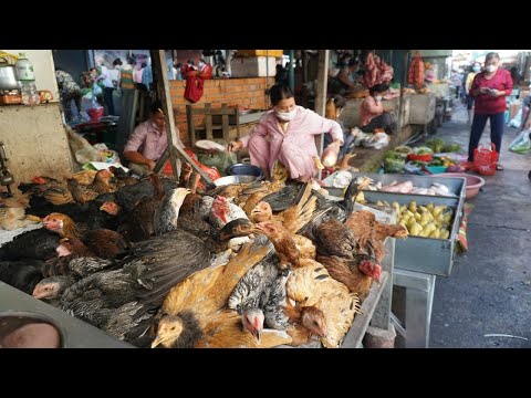Morning Daily Life Style @Phsa LU (Olympic ) - Walking Around Food Market in Morning