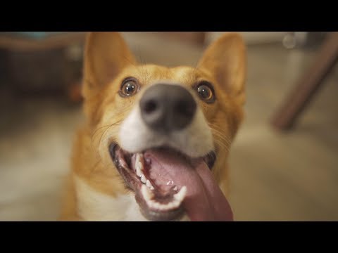 Alan Rosales & LA Sound - Incondicional (ft. Brosste Moor) [Video Oficial]