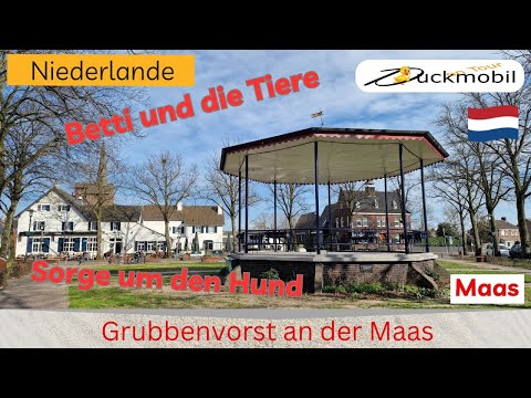 Wohnmobiltrip Grubbenvorst an der Maas –ein tierisches Vergnügen und ein kranker Hund