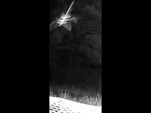 FOUR FIN 1/8 SPEED raw footage of skyfish or rods in the adirondacks