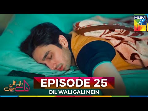 Dil Wali Gali Mein Episode 25