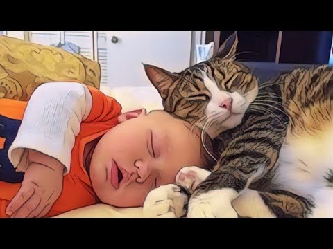 CAT AND BABIES FUNNY VIDEOS - PART-3