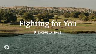 Fighting for You | Audio Reading | Our Daily Bread Devotional | August 24, 2026