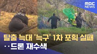 탈출 늑대 '늑구' 1차 포획 실패‥드론 재수색 (2026.04.14/930MBC뉴스)