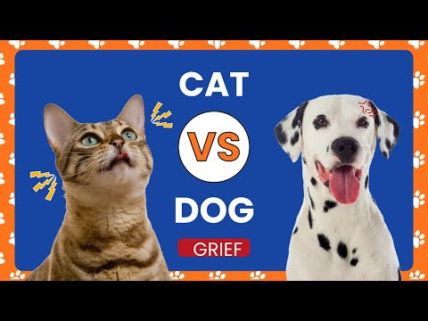 CAT VS. DOG OWNERS GRIEF