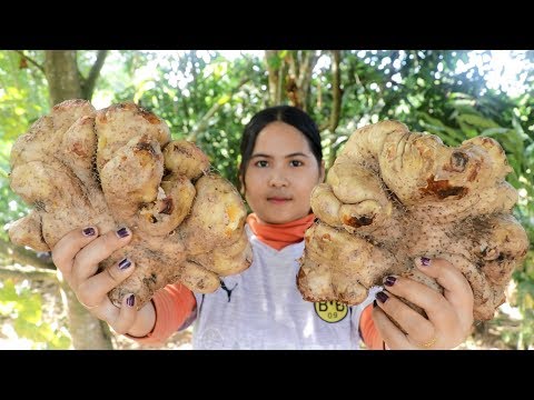 Awesome Cooking : Potato Dioscorea esculenta Dessert Delicious Recipe - Cook & Eating Food Show