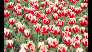 Camouflage -  Heaven (I Want You)