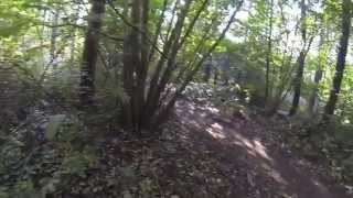 preview picture of video 'Thetford Forest Lime Burner Trail'