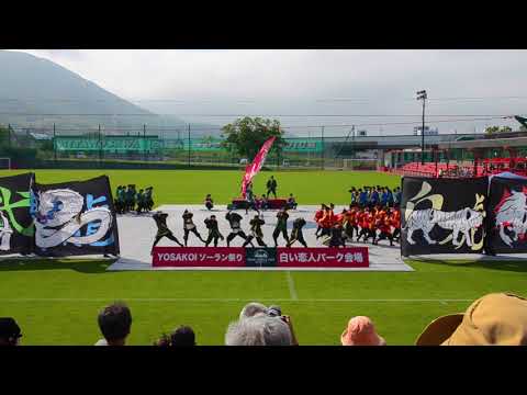 商学科 小樽商科大学”翔楽舞” 2019 四獣奏 白い恋人パーク