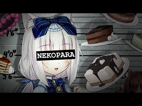 Beating The Nekopara Allegations