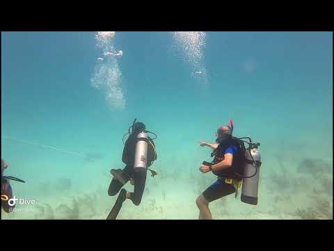 SCUBA Diving Cococay Perfect Day Stern May 24, 2022