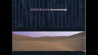 David Wilcox - Pop Out World