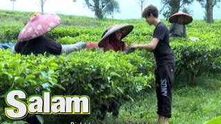 Download lagu Harris J 'Good Life' Menghibur Pekerja Kebun Teh [Harris J 'Salam'] [9 Jun 2016] mp3
