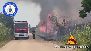 Incendio nella perla della costa jonica: brucia la Palude del Conte tra Torre Colimena e Punta Pr...