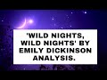 Wild Nights, Wild Nights by Emily Dickinson Analysis