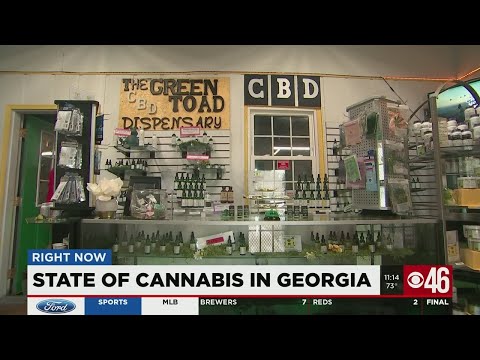 Georgia: State of Cannabis