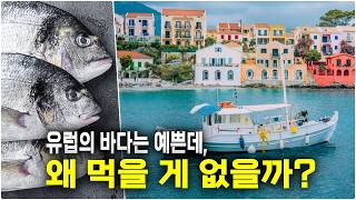 유럽인은 왜 생선을 즐기지 않을까?