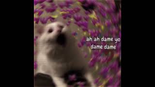 Download lagu 🙆♀️ ah ah dame yo dame dame 🤍 | Gacha Life meme mp3 Download lagu 🙆♀️ ah ah dame yo dame dame 🤍 | Gacha Life meme mp3