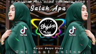 Download lagu DJ SALAH APA - Cut Rani Auliza | Salah Apa Yang Tak Kumaafkan mp3