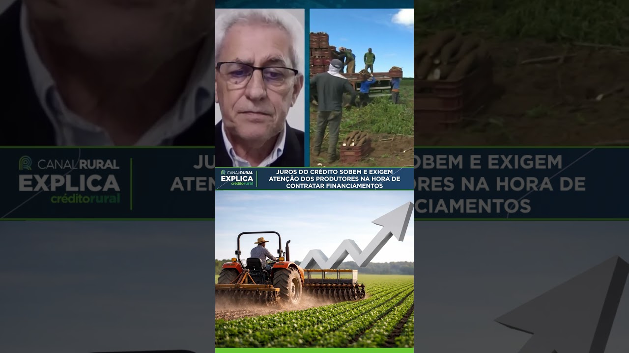 Juros do crédito sobem e exigem atenção dos produtores na hora de contratar financiamentos