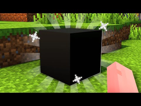 Ho Ottenuto L'Oggetto più Raro di Minecraft