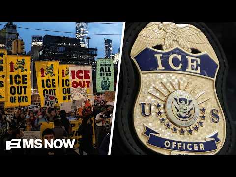 ICE shooting is ‘enacting TERROR on our communities’: New York Dem candidate